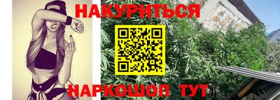 индика Можайск