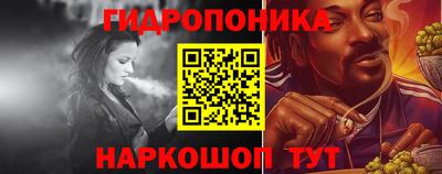 индика Можайск