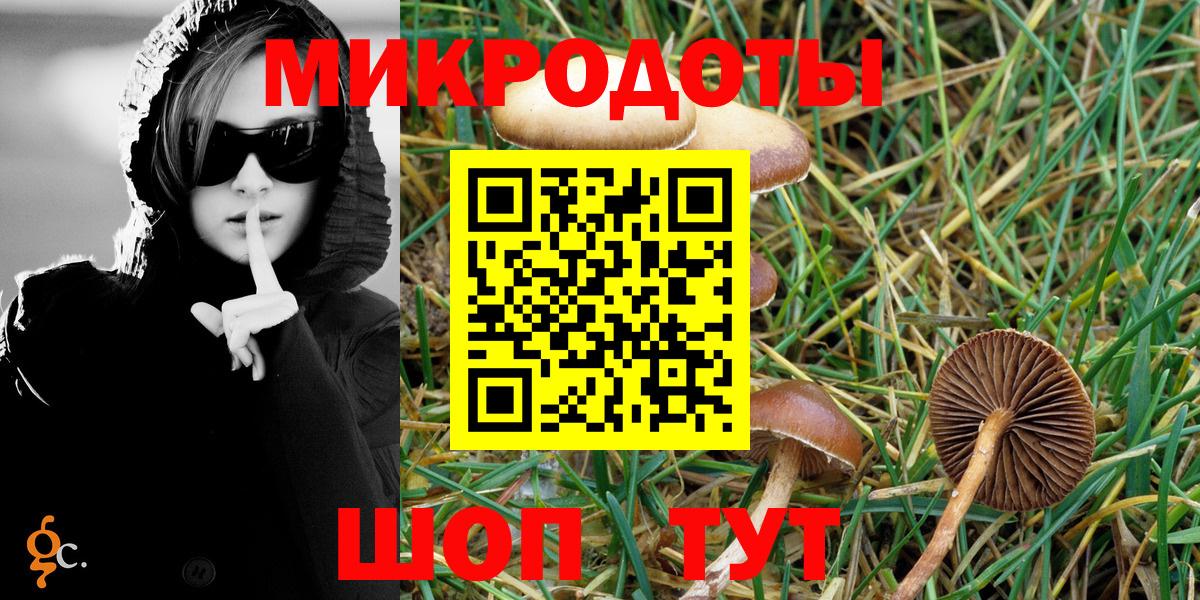 Галлюциногенные грибы Magic Shrooms  хочу наркоту  Северобайкальск  Вход с VPN 