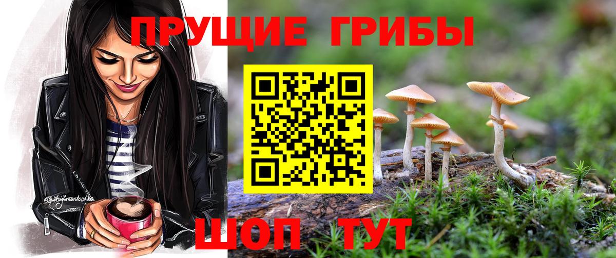 Галлюциногенные грибы GOLDEN TEACHER Северобайкальск